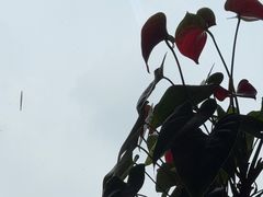 -哈工大一校区食堂