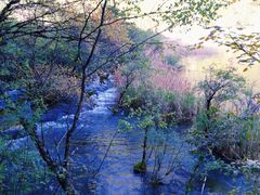 -九寨沟-树正沟