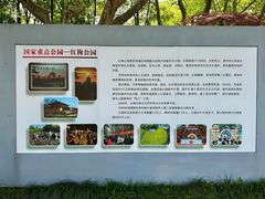 -红梅公园