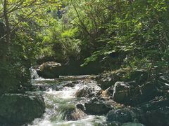 -云岫谷自然风景区