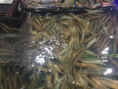 -盒马鲜生(红莲店)