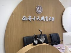 -西安小天鹅艺术团(金花路校区)