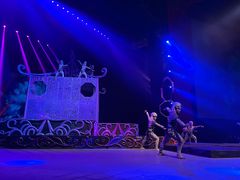 -水秀国际大剧院