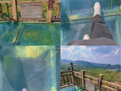 -南宁花花大世界景区