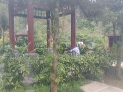 -中铁花水湾四季温泉谷