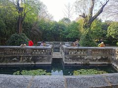 -习家池