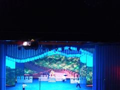 大型风情功夫具-什刹海剧场