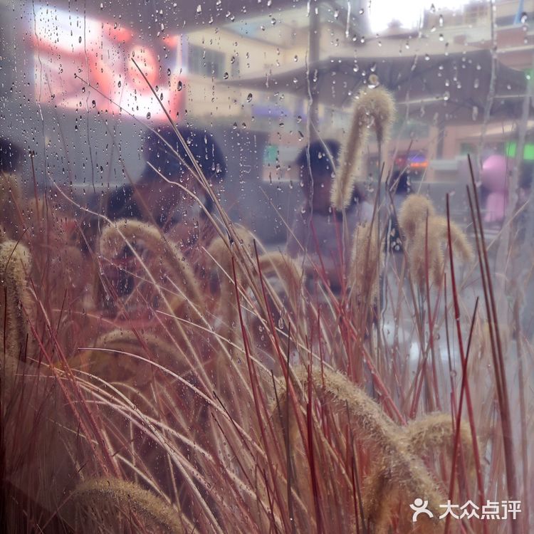 新晋网红拍照地[调皮]这家奶茶我爱