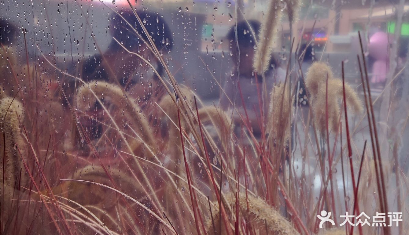 新晋网红拍照地[调皮]这家奶茶我爱