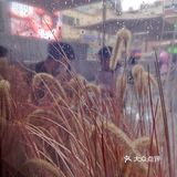 新晋网红拍照地[调皮]这家奶茶我爱