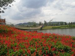 -羊亭河湿地公园