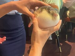-肆月河豚·淮扬菜·湘菜(华天店)