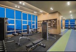 -大美臻喜母婴(重庆创始店)