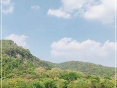 -八卦田遗址公园