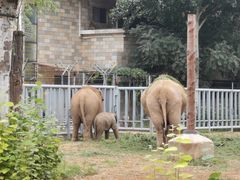 -石家庄市动物园