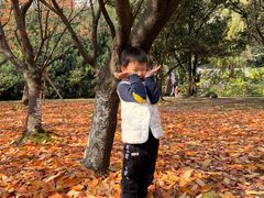 -苏州河梦清园环保主题公园