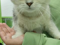 -唐小姐の猫狗洗护·购宠旗舰店(周浦万达店)