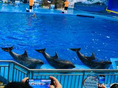 -多彩贵州城极地海洋世界