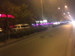 -枫花园汽车电影院(朝阳公园店)