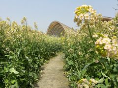 -中国天府农业博览园