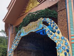 -西双版纳原始森林公园
