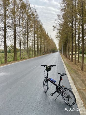 横沙岛30km环岛骑行挑战成功️