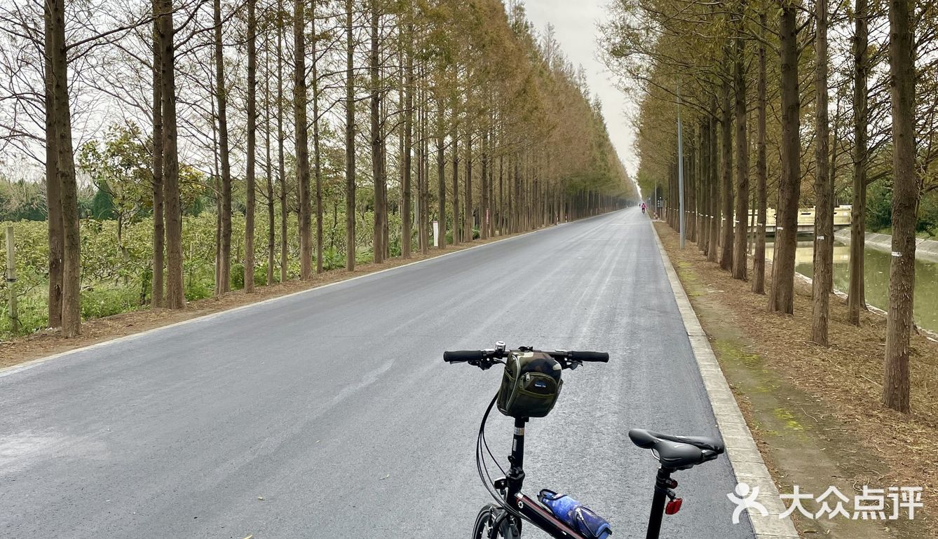 横沙岛30km环岛骑行挑战成功✔️
