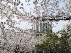 -江南大学(蠡湖校区)