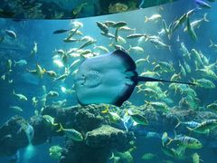 -海合安青岛极地海洋公园