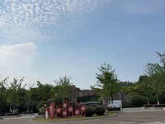 -合肥野生动物园