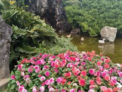 -厦门日月谷温泉渡假村