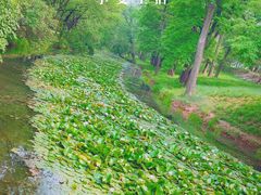 -承德避暑山庄景区