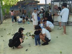 -芜湖新华联大白鲸海洋公园