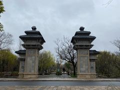 -广富林郊野公园