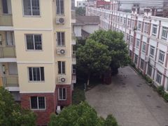 -上海棕榈滩海景酒店