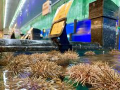 -万宝海鲜舫(劳动公园店)