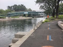 -大望京公园