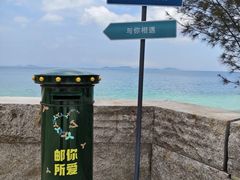 -杨梅坑