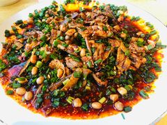 麻婆椒香口水鸡-陈麻婆豆腐(春熙店)