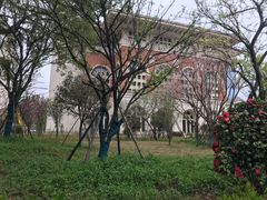-长沙市青少年宫