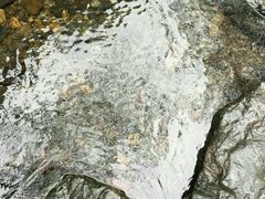 -祁门牯牛降观音堂风景区