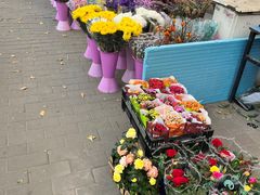 -宝鸡东道花鸟鱼虫市场(吉利花园商场店)