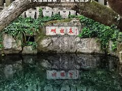 -蝴蝶泉公园