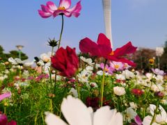 -二沙岛艺术公园