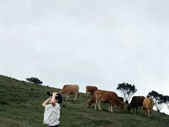 -大姆山草场