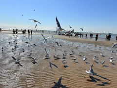 -老虎石海上公园