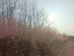 -瀛海足球主题公园