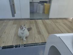 -拜鲁耶动物诊疗中心·宠家动物医院