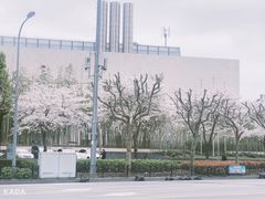-上海中心大厦