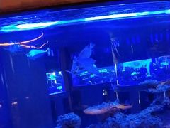 -上和臻品中国菜(花园街店)